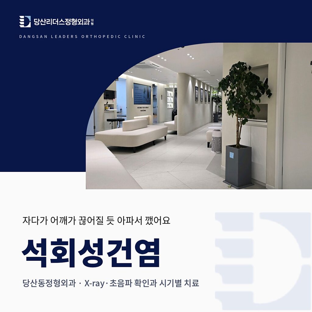 당산리더스정형외과의원 로고와 원내 대기 복도·화분 사진을 넣은 남색 배경 위에 '석회성건염, 당산동정형외과 · X-ray·초음파 확인과 시기별 치료' 제목을 넣은 대표이미지