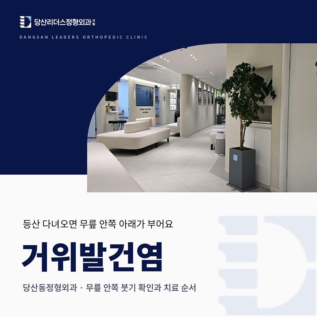 당산리더스정형외과의원 로고와 원내 대기 복도·화분 사진을 넣은 남색 배경 위에 '거위발건염, 당산동정형외과 · 무릎 안쪽 붓기 확인과 치료 순서' 제목을 넣은 대표이미지